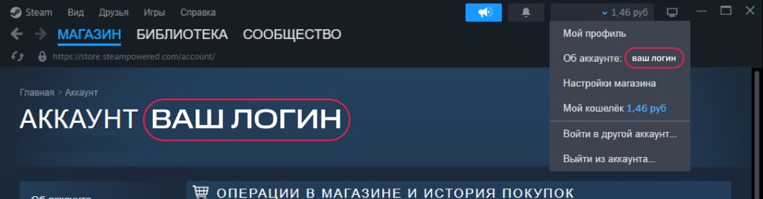 логин steam